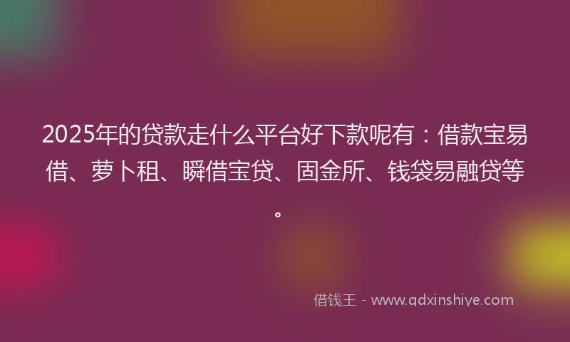 2025年的贷款走什么平台好下款呢有：借款宝易借、萝卜租、瞬借宝贷、固金所、钱袋易融贷等。