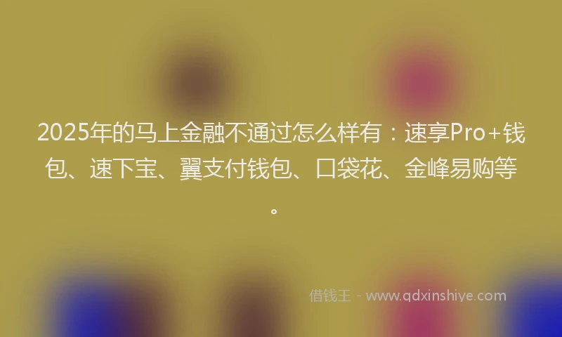 2025年的马上金融不通过怎么样有：速享Pro+钱包、速下宝、翼支付钱包、口袋花、金峰易购等。