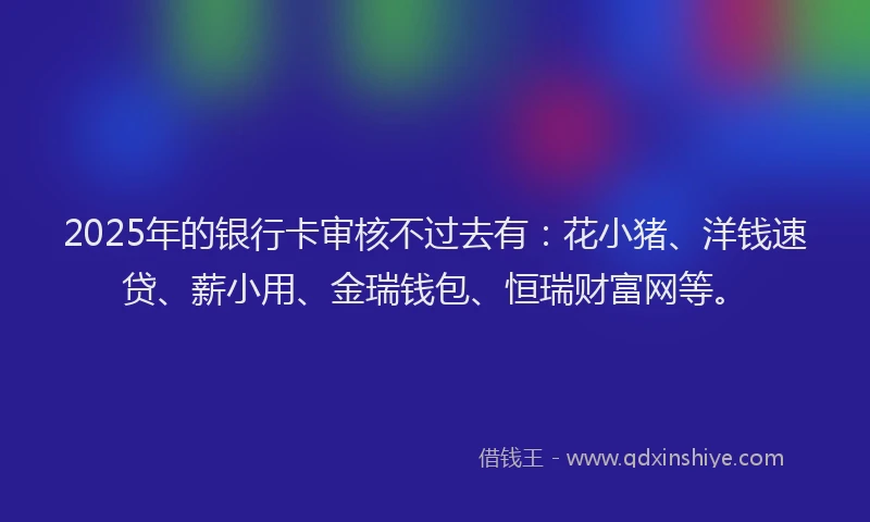 2025年的银行卡审核不过去有：花小猪、洋钱速贷、薪小用、金瑞钱包、恒瑞财富网等。