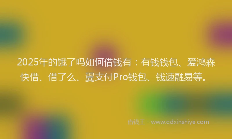 2025年的饿了吗如何借钱有：有钱钱包、爱鸿森快借、借了么、翼支付Pro钱包、钱速融易等。