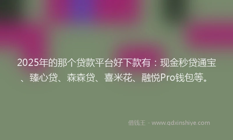 2025年的那个贷款平台好下款有：现金秒贷通宝、臻心贷、森森贷、喜米花、融悦Pro钱包等。