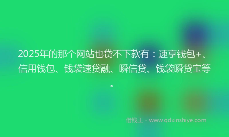 2025年的那个网站也贷不下款有：速享钱包+、信用钱包、钱袋速贷融、瞬信贷、钱袋瞬贷宝等。