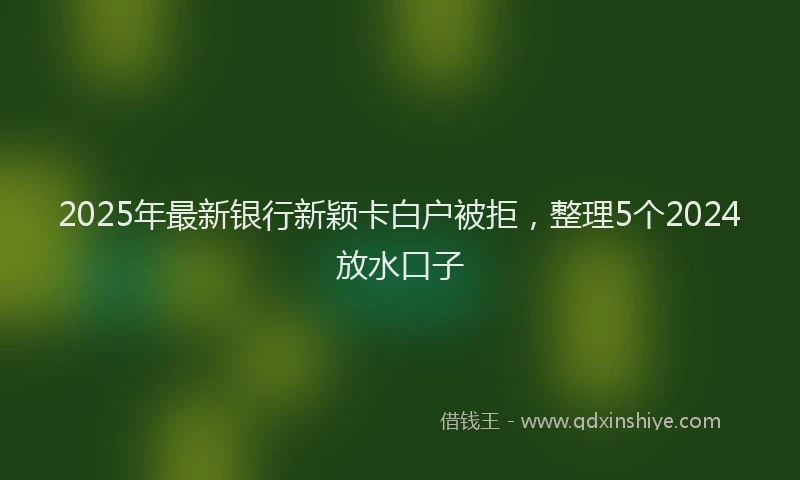 2025年最新银行新颖卡白户被拒，整理5个2024放水口子