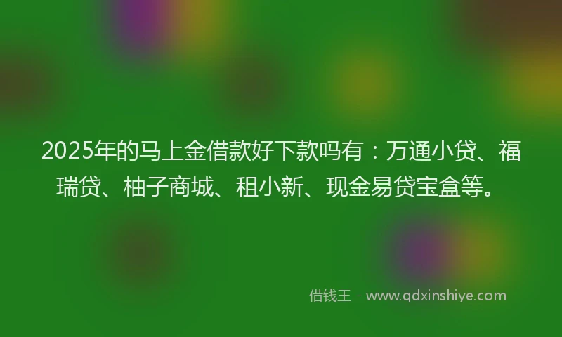 2025年的马上金借款好下款吗有：万通小贷、福瑞贷、柚子商城、租小新、现金易贷宝盒等。