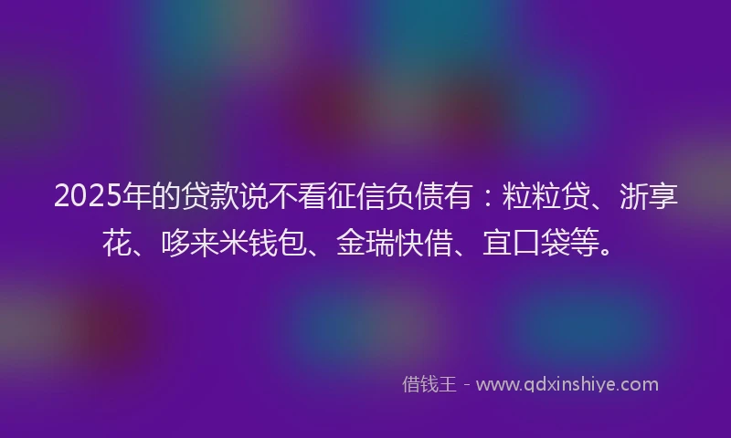 2025年的贷款说不看征信负债有：粒粒贷、浙享花、哆来米钱包、金瑞快借、宜口袋等。