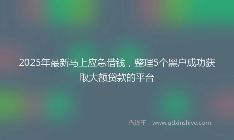 2025年最新马上应急借钱，整理5个黑户成功获取大额贷款的平台