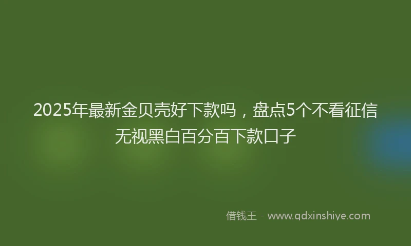 2025年最新金贝壳好下款吗，盘点5个不看征信无视黑白百分百下款口子