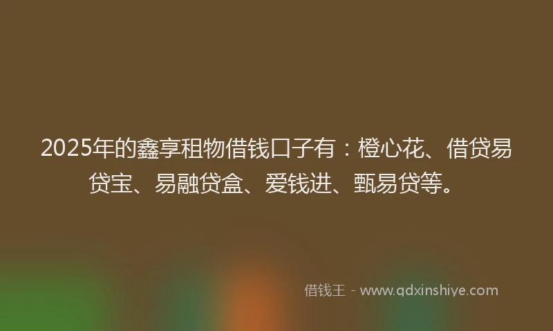 2025年的鑫享租物借钱口子有：橙心花、借贷易贷宝、易融贷盒、爱钱进、甄易贷等。