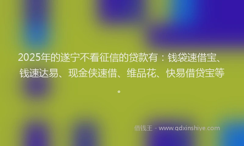 2025年的遂宁不看征信的贷款有：钱袋速借宝、钱速达易、现金侠速借、维品花、快易借贷宝等。