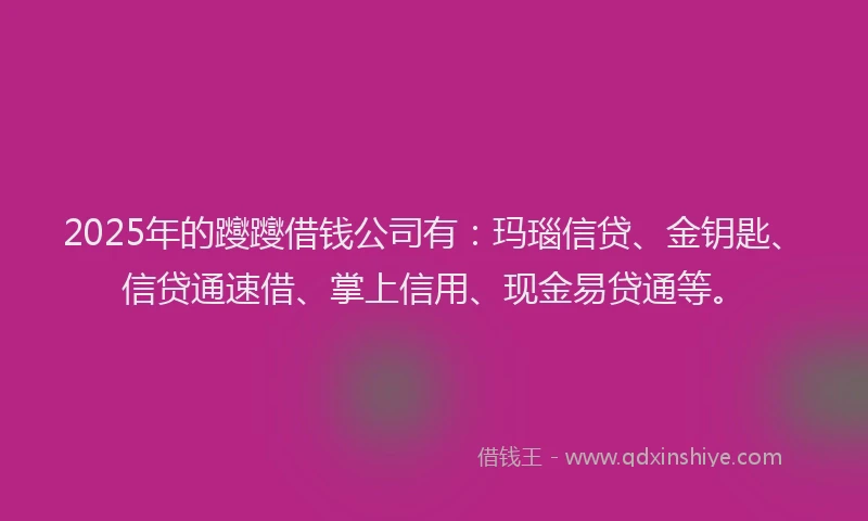 2025年的躞躞借钱公司有：玛瑙信贷、金钥匙、信贷通速借、掌上信用、现金易贷通等。