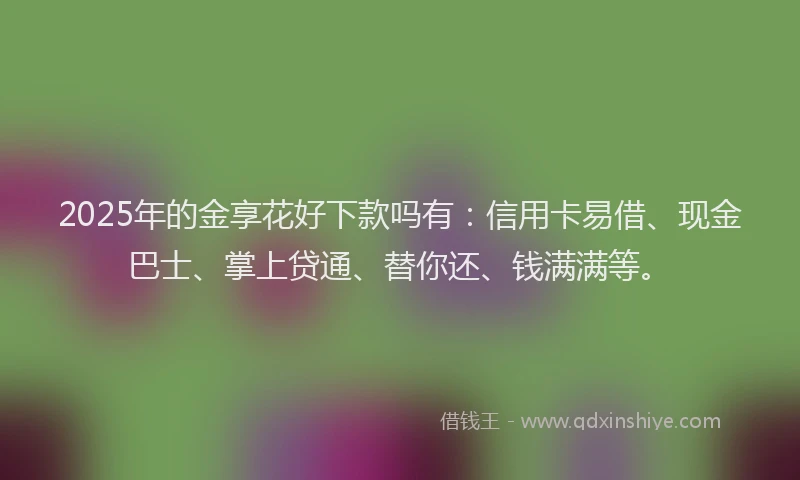 2025年的金享花好下款吗有：信用卡易借、现金巴士、掌上贷通、替你还、钱满满等。