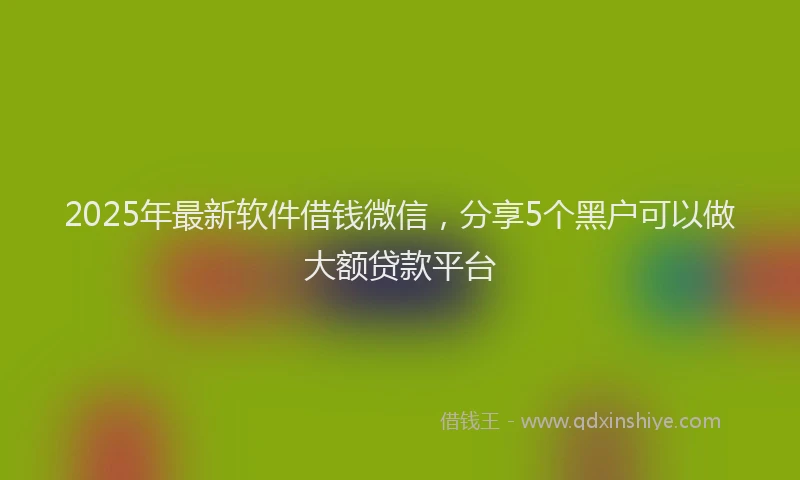 2025年最新软件借钱微信，分享5个黑户可以做大额贷款平台