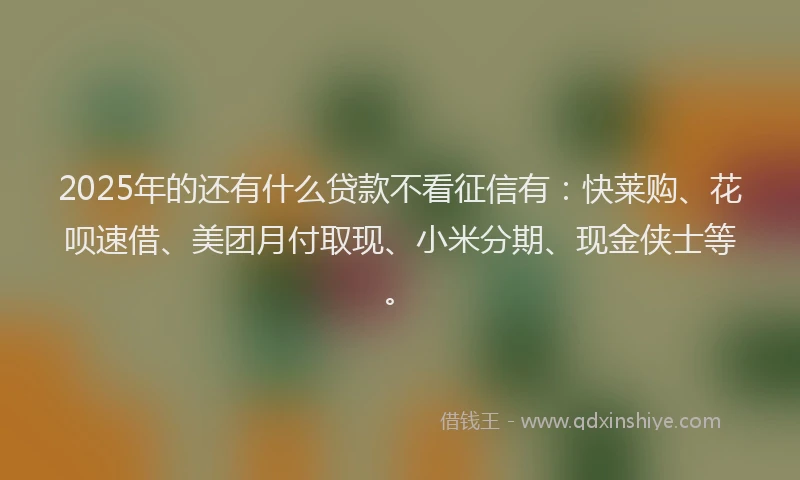2025年的还有什么贷款不看征信有：快莱购、花呗速借、美团月付取现、小米分期、现金侠士等。
