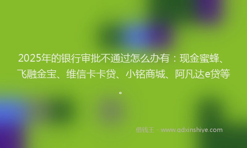 2025年的银行审批不通过怎么办有：现金蜜蜂、飞融金宝、维信卡卡贷、小铭商城、阿凡达e贷等。