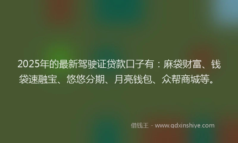 2025年的最新驾驶证贷款口子有：麻袋财富、钱袋速融宝、悠悠分期、月亮钱包、众帮商城等。