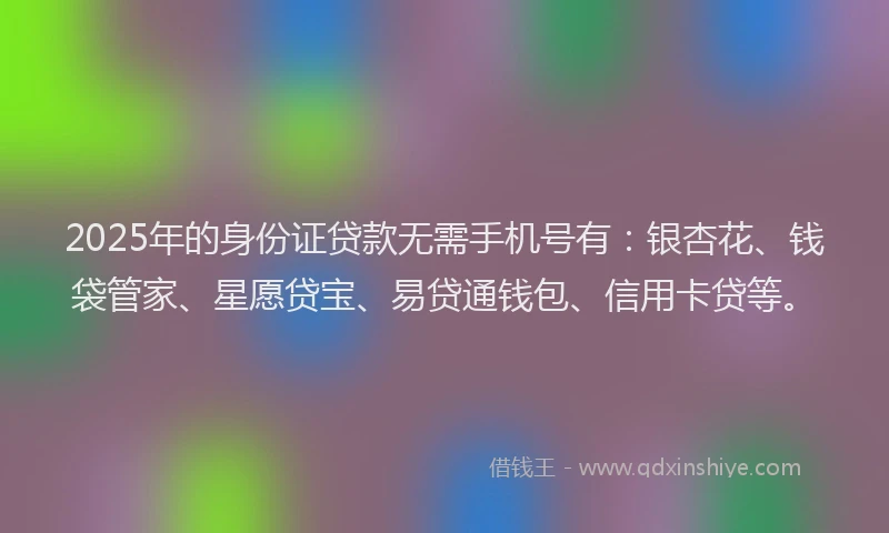 2025年的身份证贷款无需手机号有：银杏花、钱袋管家、星愿贷宝、易贷通钱包、信用卡贷等。