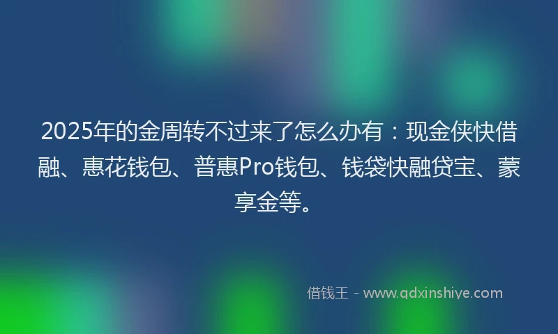 2025年的金周转不过来了怎么办有：现金侠快借融、惠花钱包、普惠Pro钱包、钱袋快融贷宝、蒙享金等。
