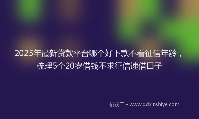 2025年最新贷款平台哪个好下款不看征信年龄，梳理5个20岁借钱不求征信速借口子