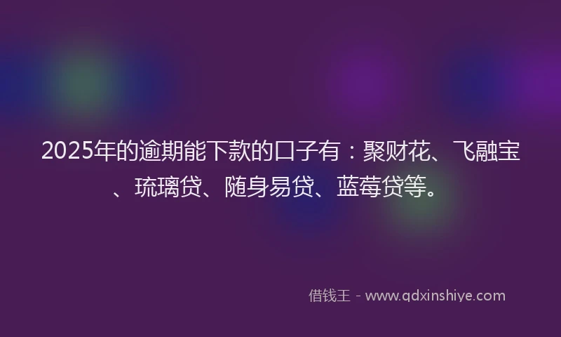 2025年的逾期能下款的口子有：聚财花、飞融宝、琉璃贷、随身易贷、蓝莓贷等。