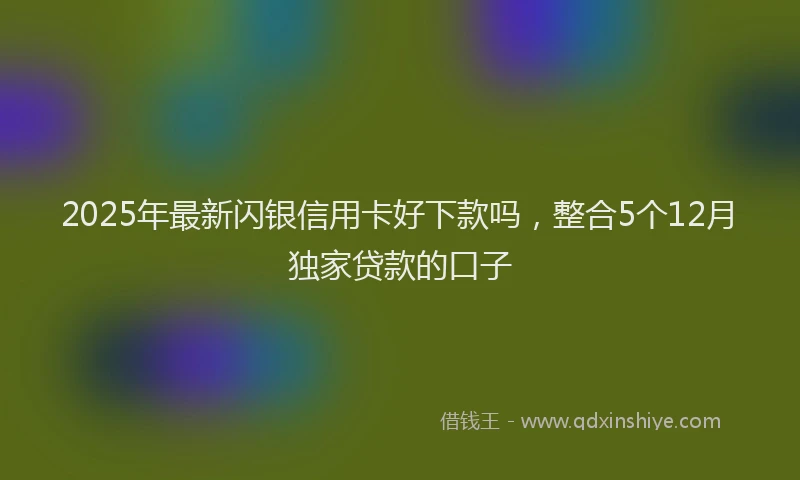 2025年最新闪银信用卡好下款吗，整合5个12月独家贷款的口子
