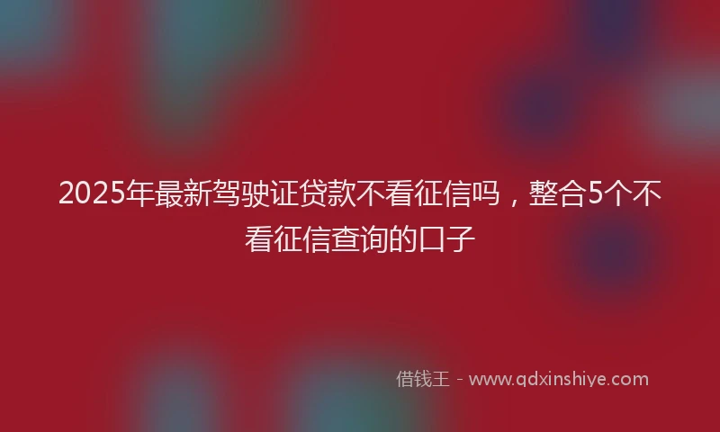 2025年最新驾驶证贷款不看征信吗，整合5个不看征信查询的口子