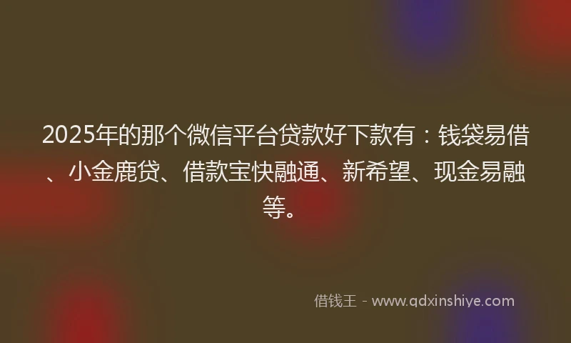 2025年的那个微信平台贷款好下款有：钱袋易借、小金鹿贷、借款宝快融通、新希望、现金易融等。