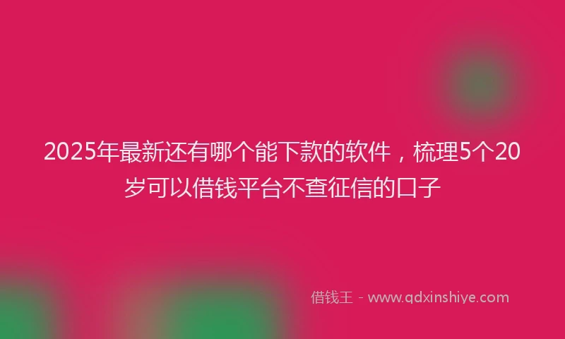2025年最新还有哪个能下款的软件，梳理5个20岁可以借钱平台不查征信的口子
