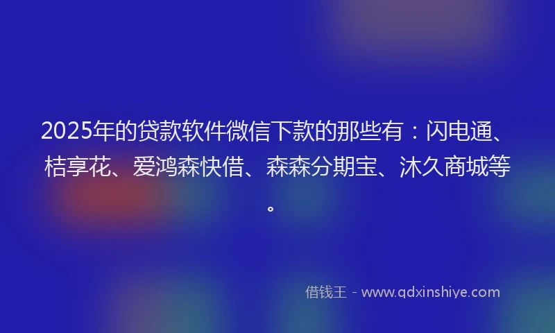 2025年的贷款软件微信下款的那些有：闪电通、桔享花、爱鸿森快借、森森分期宝、沐久商城等。