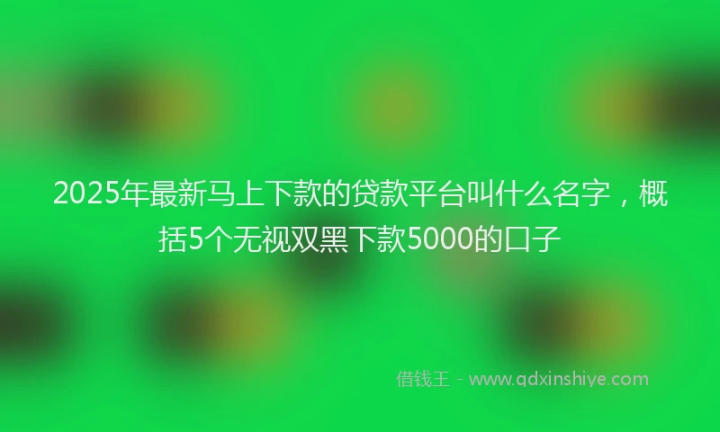 2025年最新马上下款的贷款平台叫什么名字，概括5个无视双黑下款5000的口子