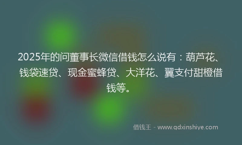2025年的问董事长微信借钱怎么说有：葫芦花、钱袋速贷、现金蜜蜂贷、大洋花、翼支付甜橙借钱等。