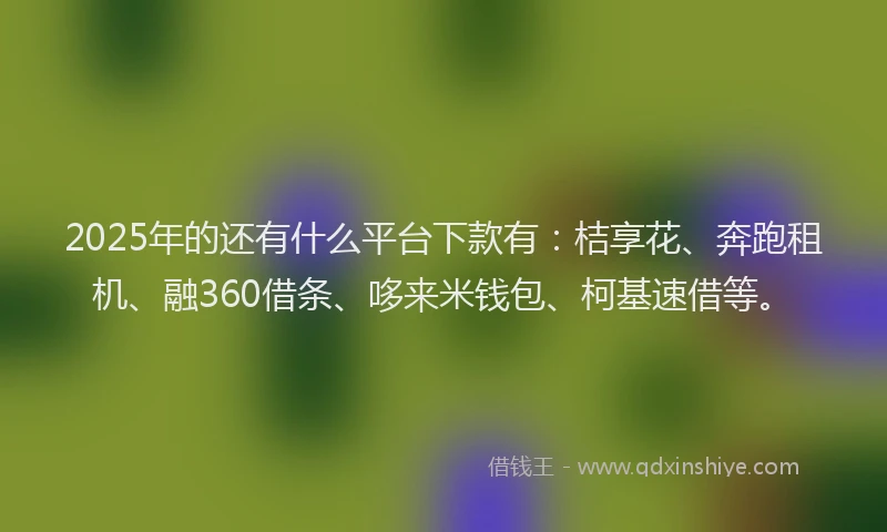 2025年的还有什么平台下款有：桔享花、奔跑租机、融360借条、哆来米钱包、柯基速借等。