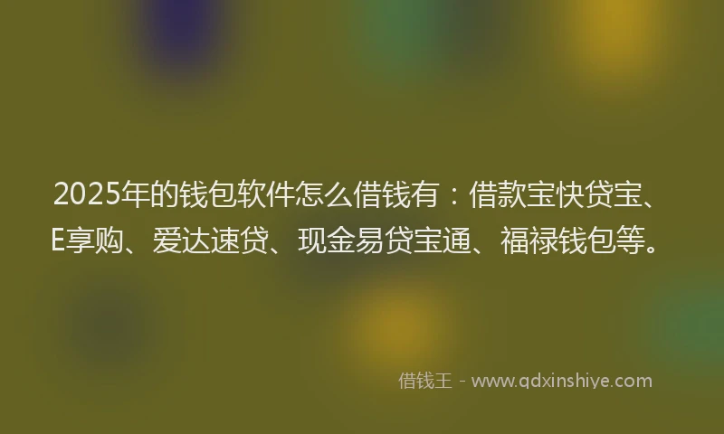 2025年的钱包软件怎么借钱有：借款宝快贷宝、E享购、爱达速贷、现金易贷宝通、福禄钱包等。