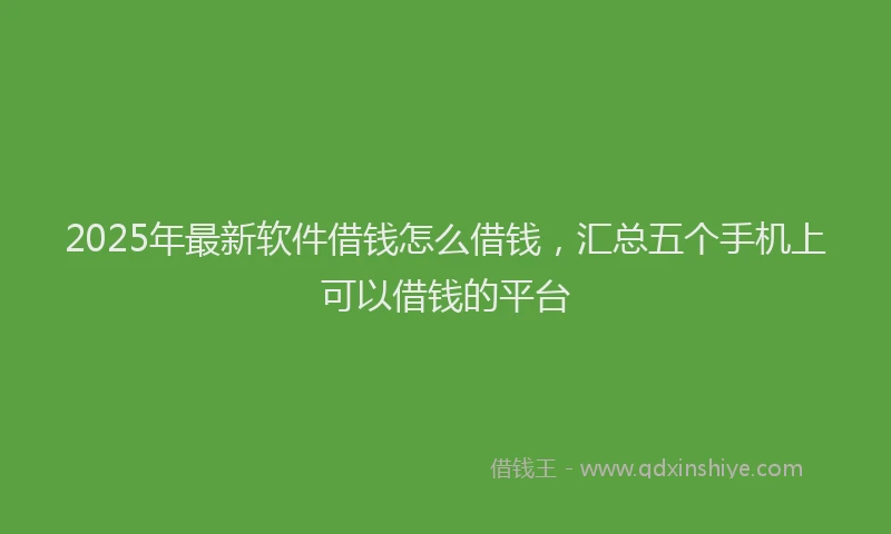 2025年最新软件借钱怎么借钱，汇总五个手机上可以借钱的平台