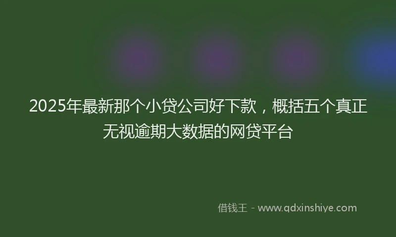 2025年最新那个小贷公司好下款，概括五个真正无视逾期大数据的网贷平台
