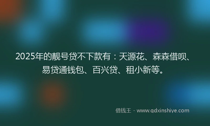 2025年的靓号贷不下款有：天源花、森森借呗、易贷通钱包、百兴贷、租小新等。