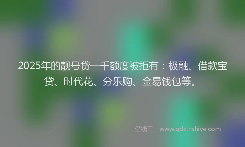 2025年的靓号贷一千额度被拒有：极融、借款宝贷、时代花、分乐购、金易钱包等。
