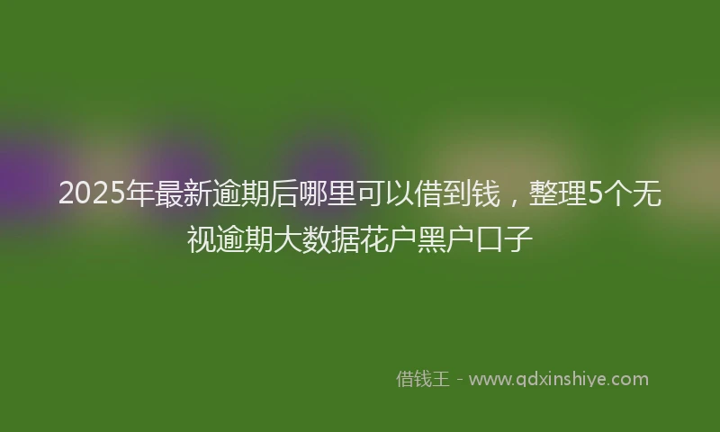 2025年最新逾期后哪里可以借到钱，整理5个无视逾期大数据花户黑户口子