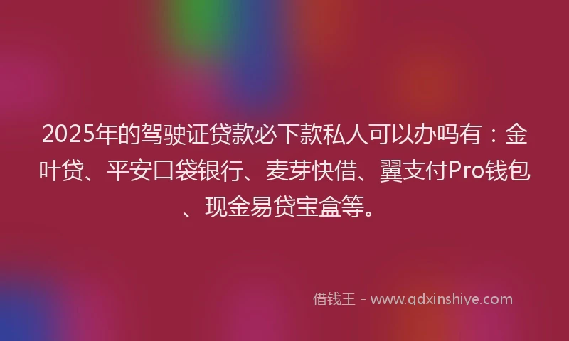 2025年的驾驶证贷款必下款私人可以办吗有：金叶贷、平安口袋银行、麦芽快借、翼支付Pro钱包、现金易贷宝盒等。
