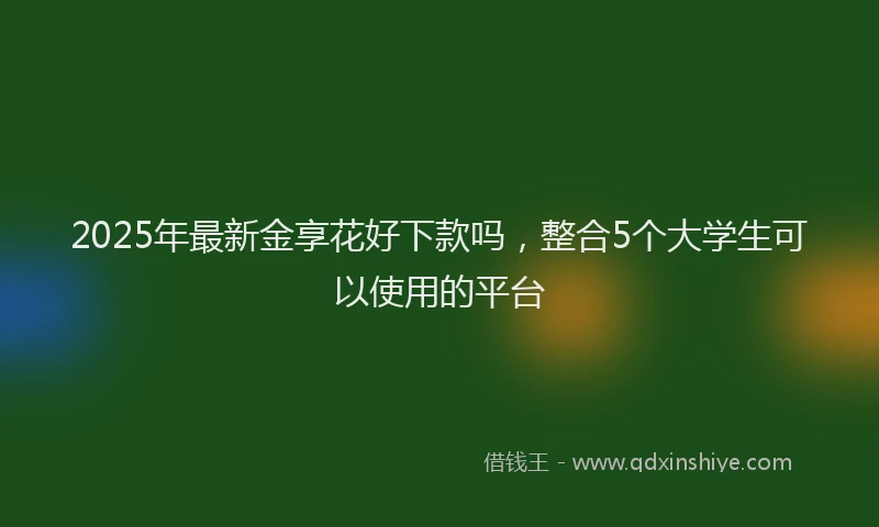 2025年最新金享花好下款吗，整合5个大学生可以使用的平台