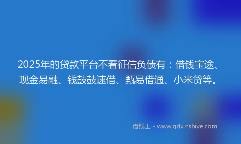 2025年的贷款平台不看征信负债有：借钱宝途、现金易融、钱鼓鼓速借、甄易借通、小米贷等。