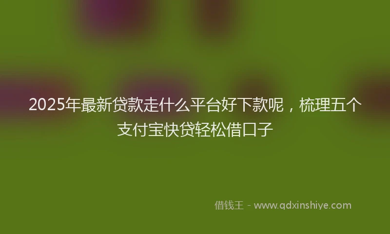 2025年最新贷款走什么平台好下款呢，梳理五个支付宝快贷轻松借口子