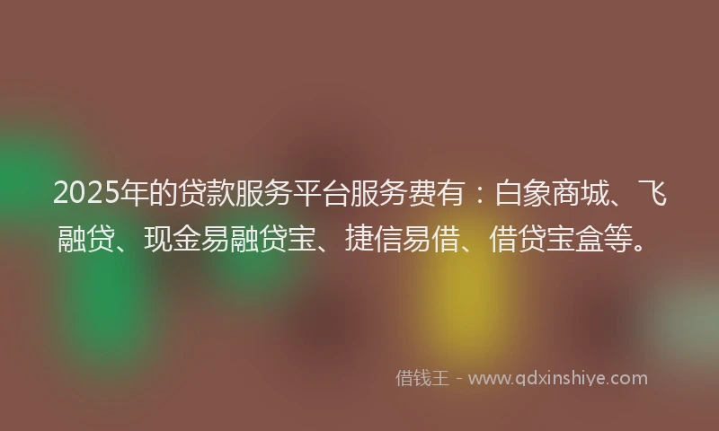 2025年的贷款服务平台服务费有：白象商城、飞融贷、现金易融贷宝、捷信易借、借贷宝盒等。