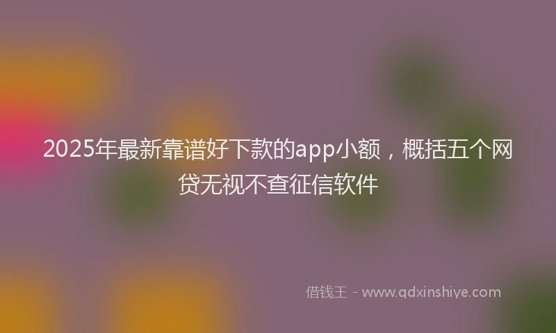 2025年最新靠谱好下款的app小额，概括五个网贷无视不查征信软件