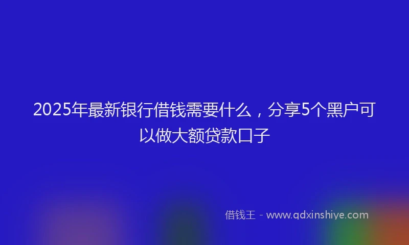 2025年最新银行借钱需要什么，分享5个黑户可以做大额贷款口子