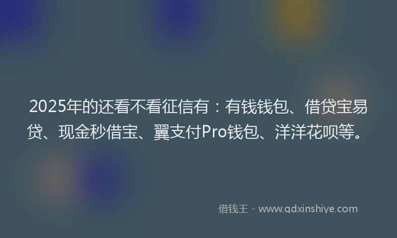 2025年的还看不看征信有：有钱钱包、借贷宝易贷、现金秒借宝、翼支付Pro钱包、洋洋花呗等。