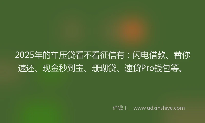 2025年的车压贷看不看征信有：闪电借款、替你速还、现金秒到宝、珊瑚贷、速贷Pro钱包等。