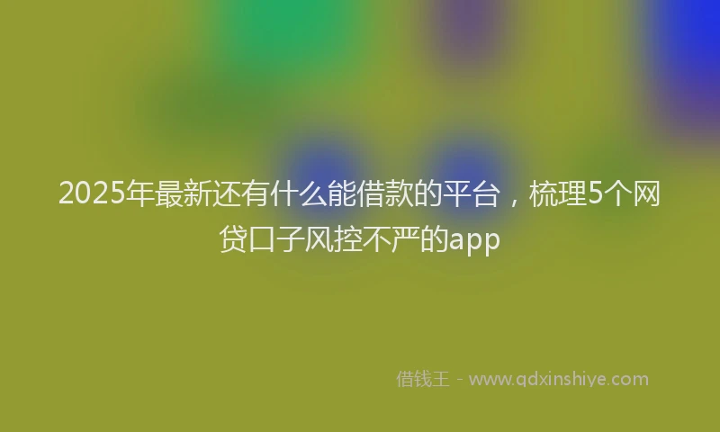 2025年最新还有什么能借款的平台，梳理5个网贷口子风控不严的app