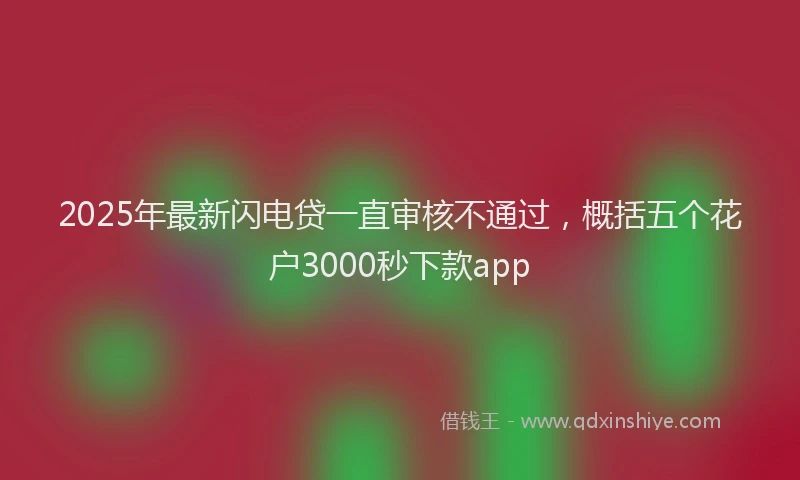 2025年最新闪电贷一直审核不通过，概括五个花户3000秒下款app