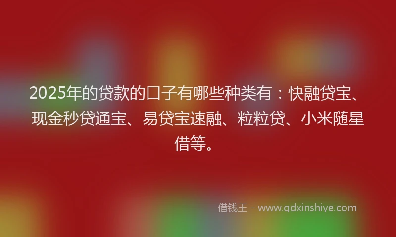 2025年的贷款的口子有哪些种类有：快融贷宝、现金秒贷通宝、易贷宝速融、粒粒贷、小米随星借等。