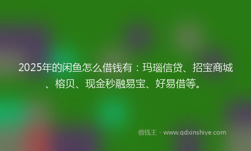 2025年的闲鱼怎么借钱有：玛瑙信贷、招宝商城、榕贝、现金秒融易宝、好易借等。